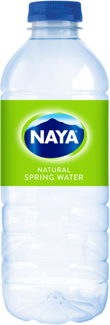 Naya Water Bottle (500ml)